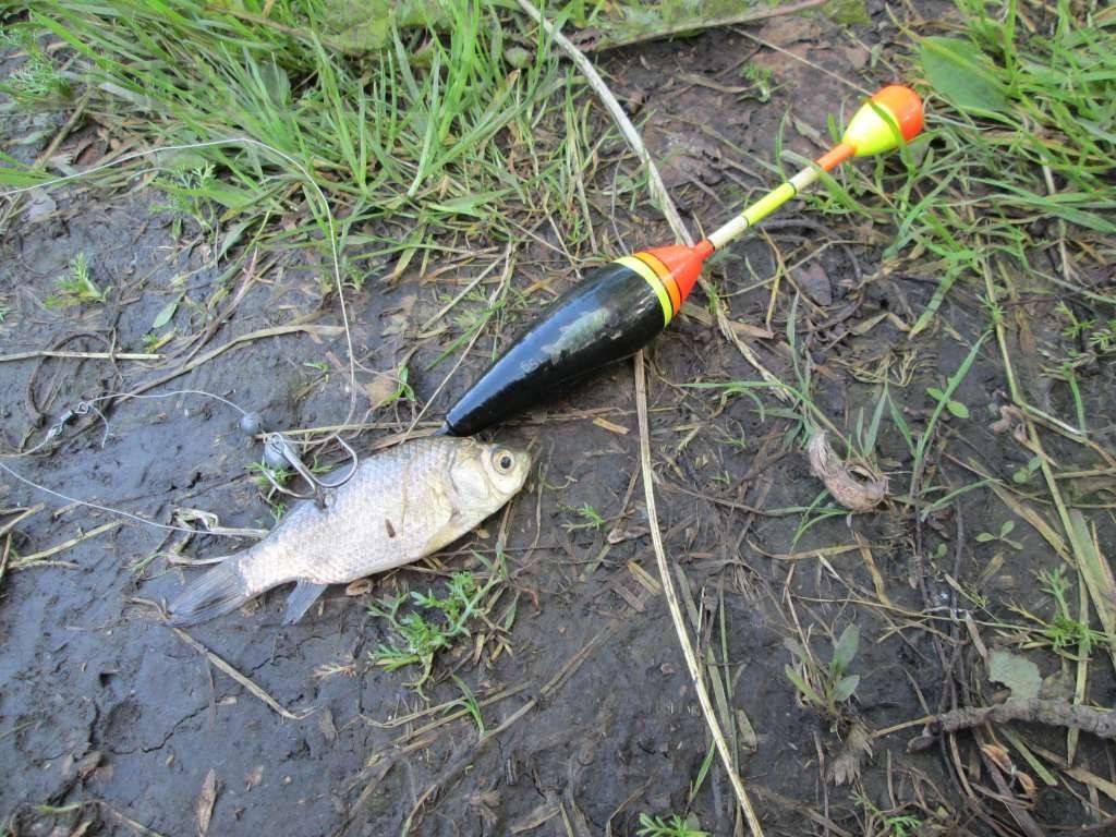 Ловля щуки на поплавок: снасть для ловли щуки на удочку