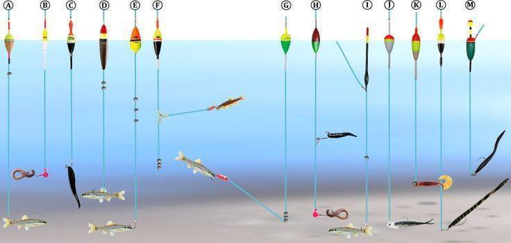 Снасть на судака: какую лучше использовать для ловли на живца с берега, популярные виды для ловли зимой, осенью и летом