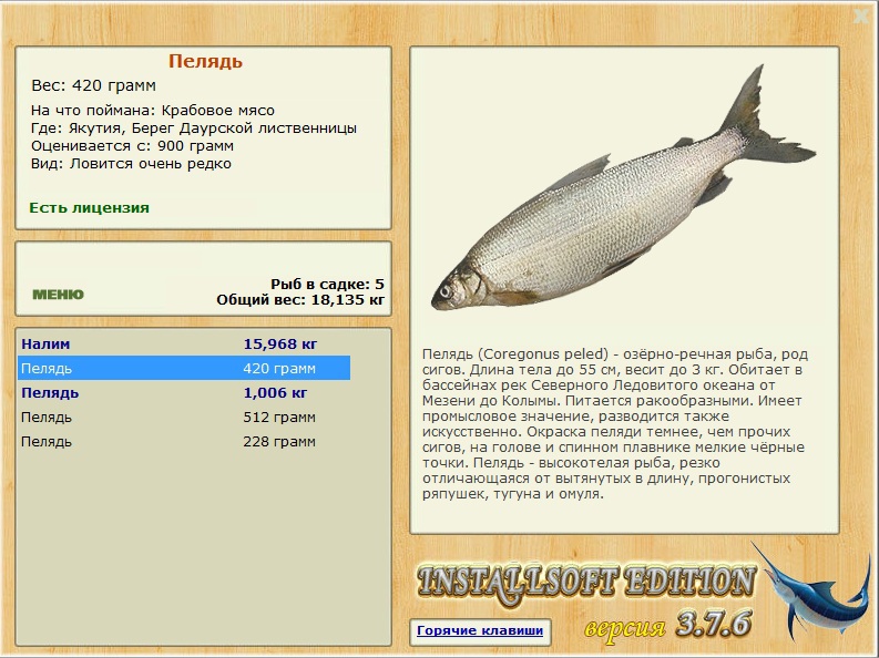 Рыба сырок (пелядь)