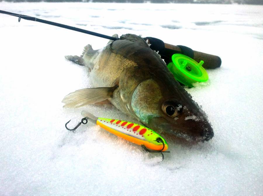 Ловля на балансир зимой — подробное руководство и важные нюансы ловли балансиром на зимней рыбалке (115 фото)