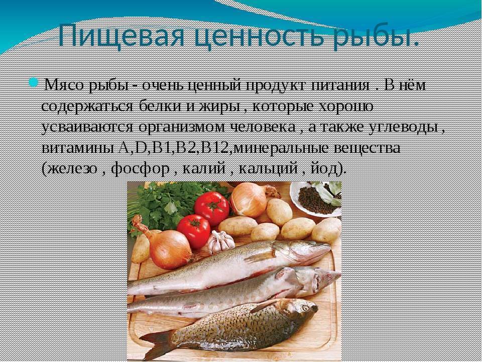 Что такое рыба усач: поведение в природе и кулинарная ценность