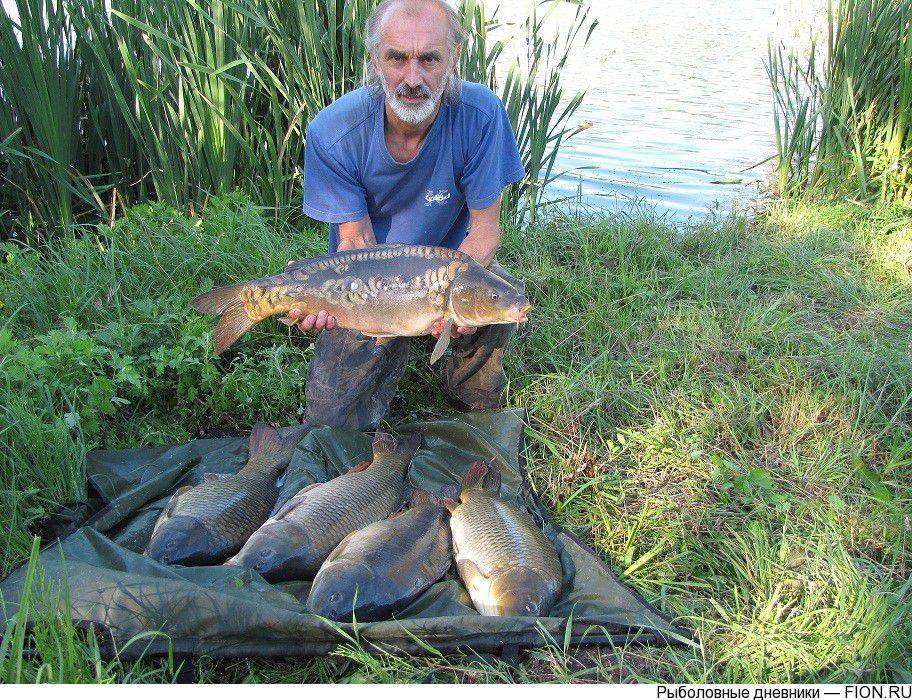 Рыбалка тут клев. Корочанское водохранилище Белгородская область. Рыболовные пруды Белгородской области. Озеро Инкит рыбалка. Чиликинский пруд Белгородской области рыбалка.