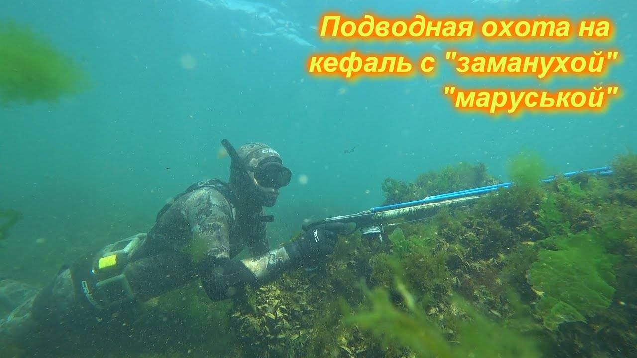 Арбалет для подводной охоты на черном море: подводная охота в черном море весной, летом и осенью
