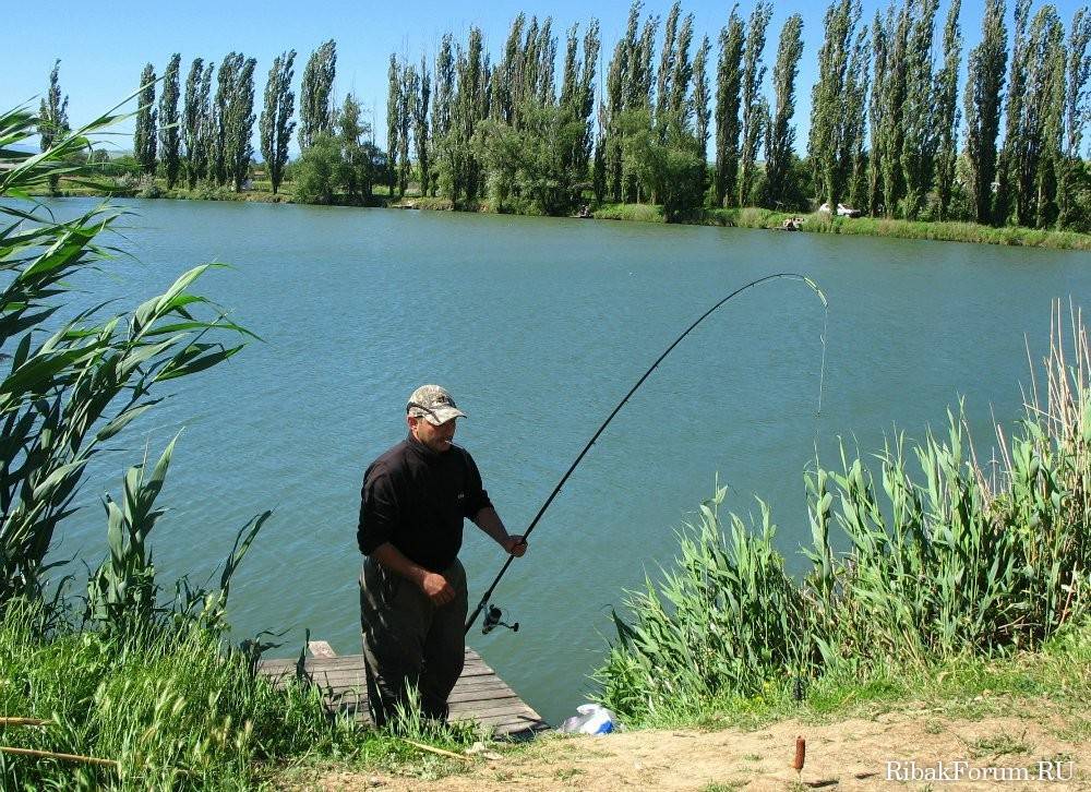 Рыбалка в крыму с берега на море, на реках и озерах. запрет
