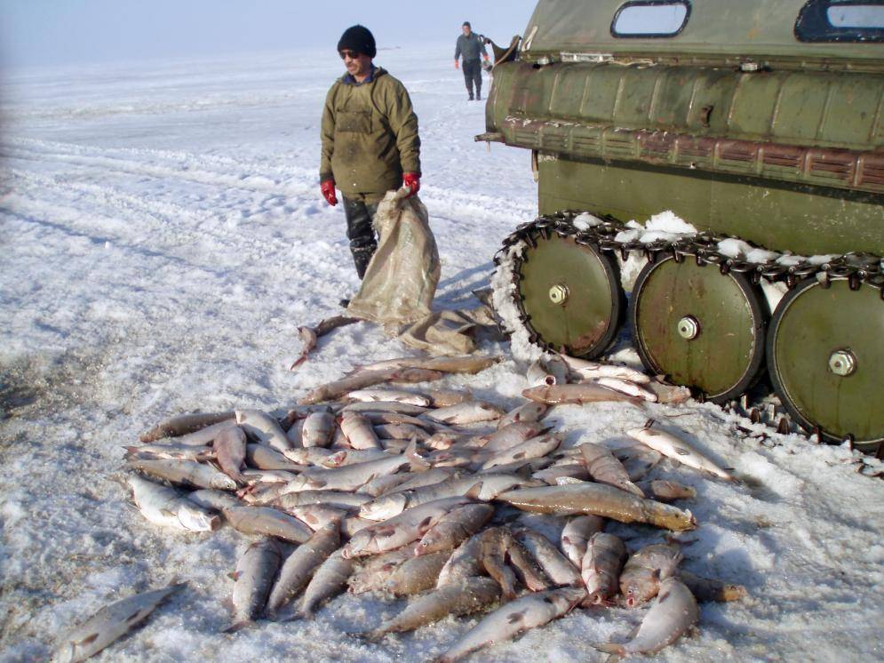 Места для рыбалки в ямало-ненецком автономном округе – платная и бесплатная рыбалка!