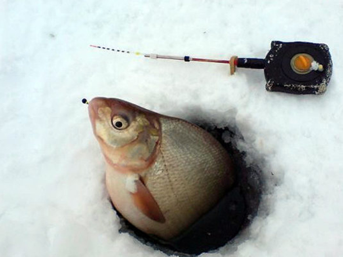 Самодельная зимняя прикормка и ночная ловля "трофейного" леща - самоделки для рыбалки своими руками