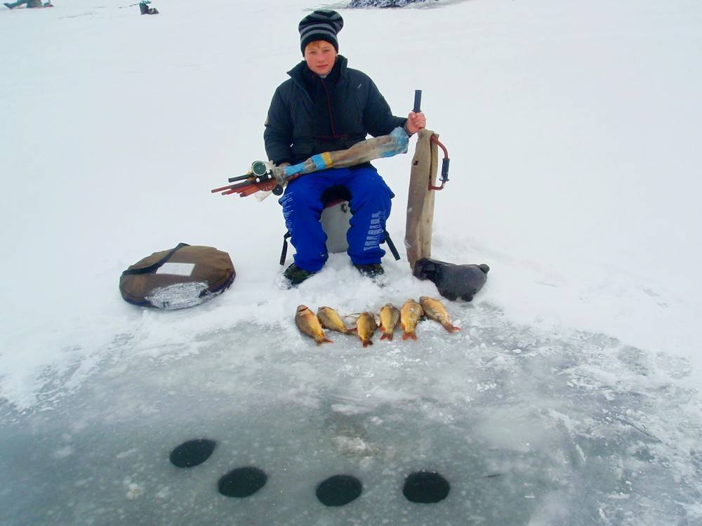 Ловля карпа зимой со льда — снасти и приманки для ловли