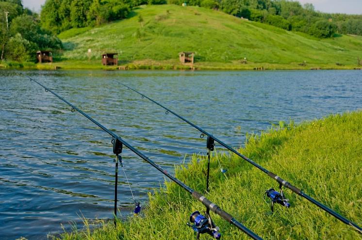 Платная рыбалка и рыболовные туры в ростовской области