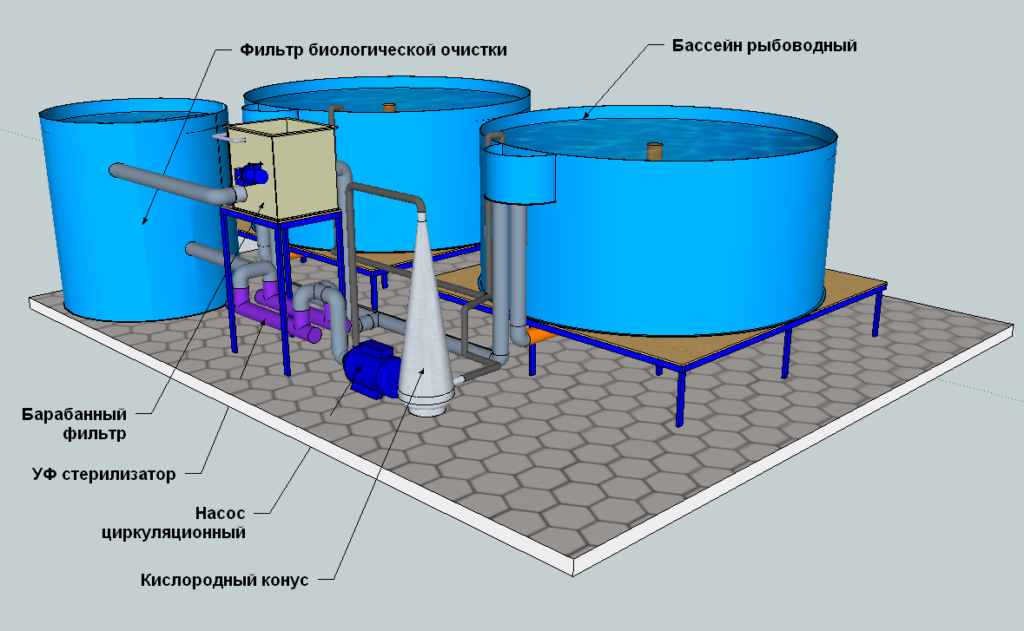 Оборудование для разведения. Схема фермы УЗВ. УЗВ для осетра под ключ. Переливная система фильтрации для УЗВ. Мини УЗВ марки силос-1.