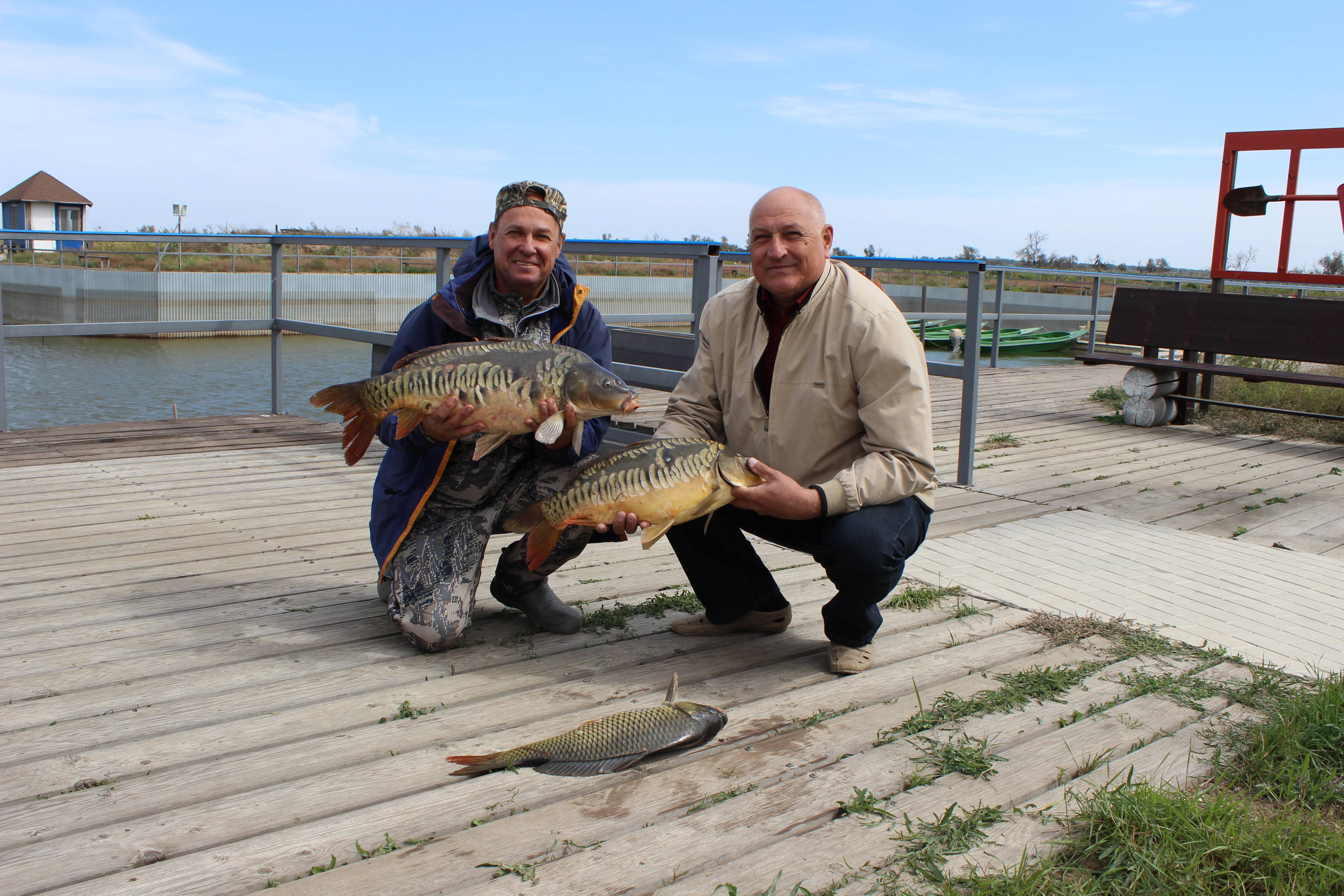 Астрахань: базы отдыха на берегу с рыбалкой - 20 лучших мест