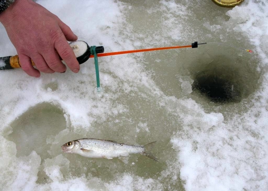 Мормышка на леща для зимней рыбалки: лучшие на течении, ловля леща зимой со льда на мормышку, видео 2021 года