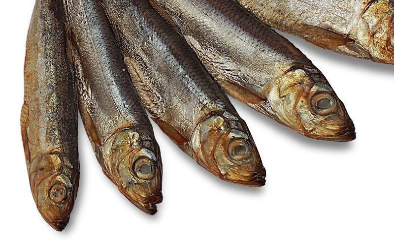 Рыба салака – 13 самых простых и очень вкусных рецептов приготовления