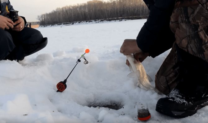 Зимняя ловля леща на комбайны спускники: нюансы снасти и ловли
