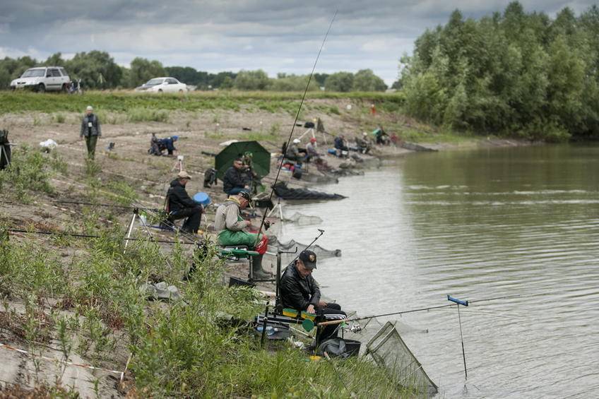 Рыбалка в алтайском крае: лучшие места на карте топ-9