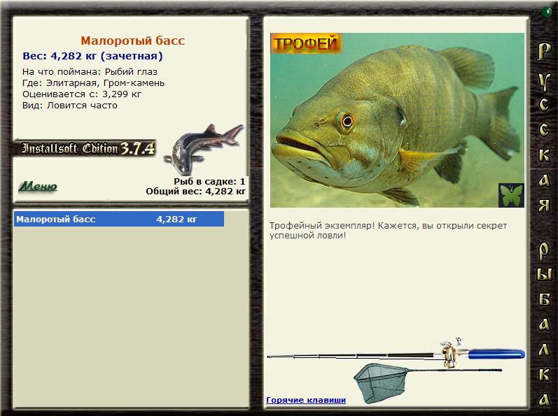 Рыба «сомик канальный» фото и описание