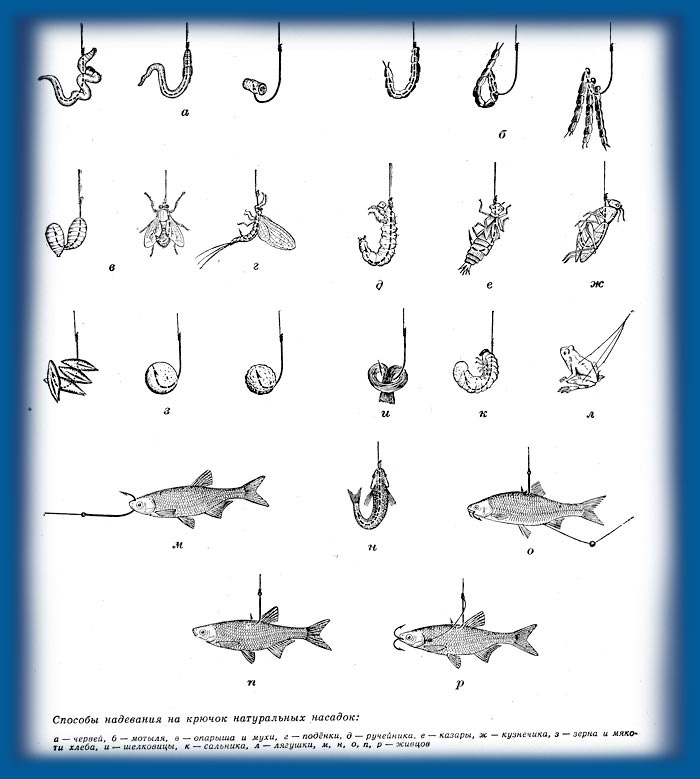 Анатомия рыболовных крючков их их виды