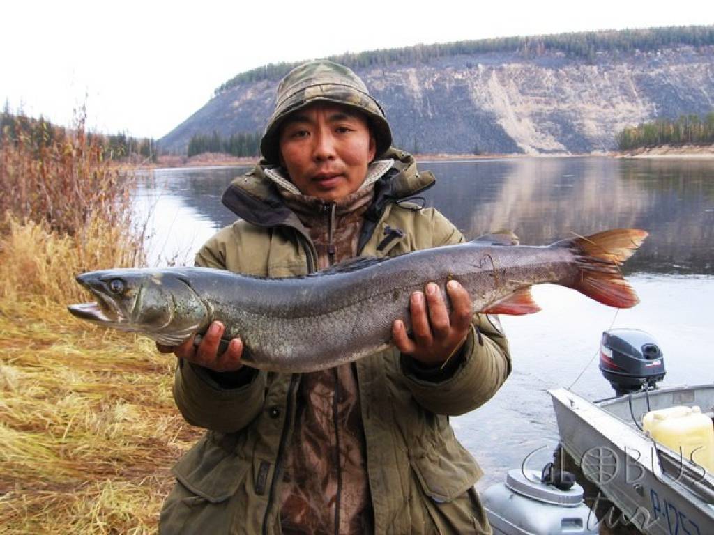 ✅ рыбалка на реке лена - fish-hunt.net.ru