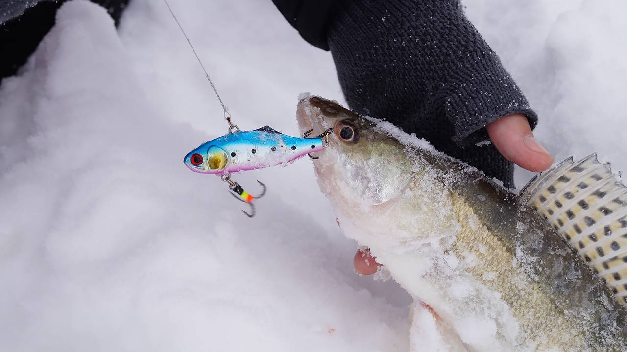 Ратлины для зимней рыбалки: как правильно ловить на вибы зимой, уловистые раттлины на щуку, окуня, судака