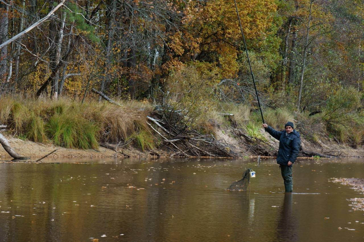 Рыбалка в октябре на спиннинг — видео, особенности ловли, выбор снастей и приманок