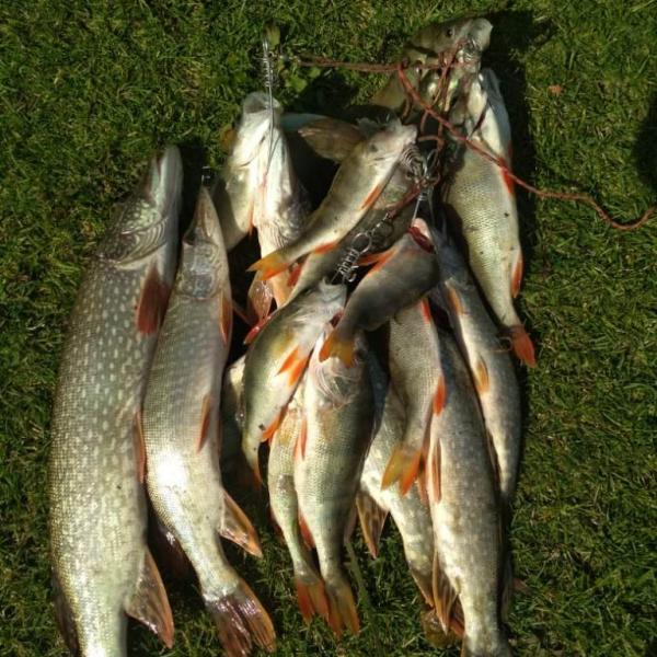 Проверенные заговоры на удачную рыбалку: как добиться крупного улова