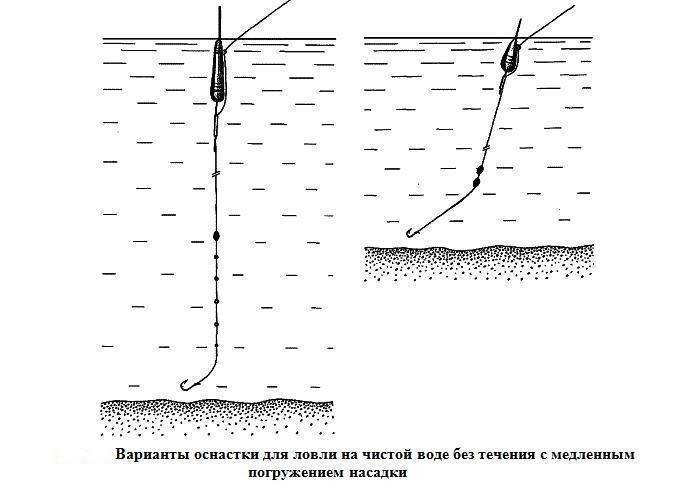 Маховая удочка: способы ловли, оснастка и монтаж - fishingwiki