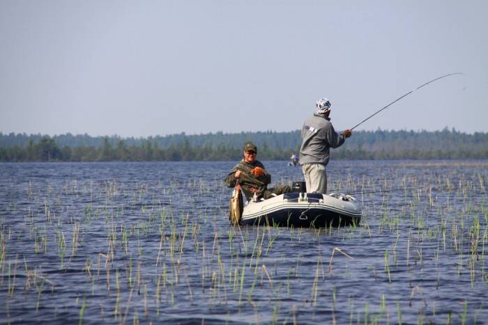 Рыбалка в Курганской области: лучшие места на карте ТОП-10