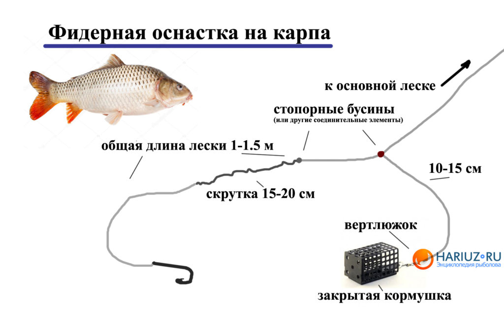 Толщина лески на карпа. Правильная оснастка фидера на карпа.