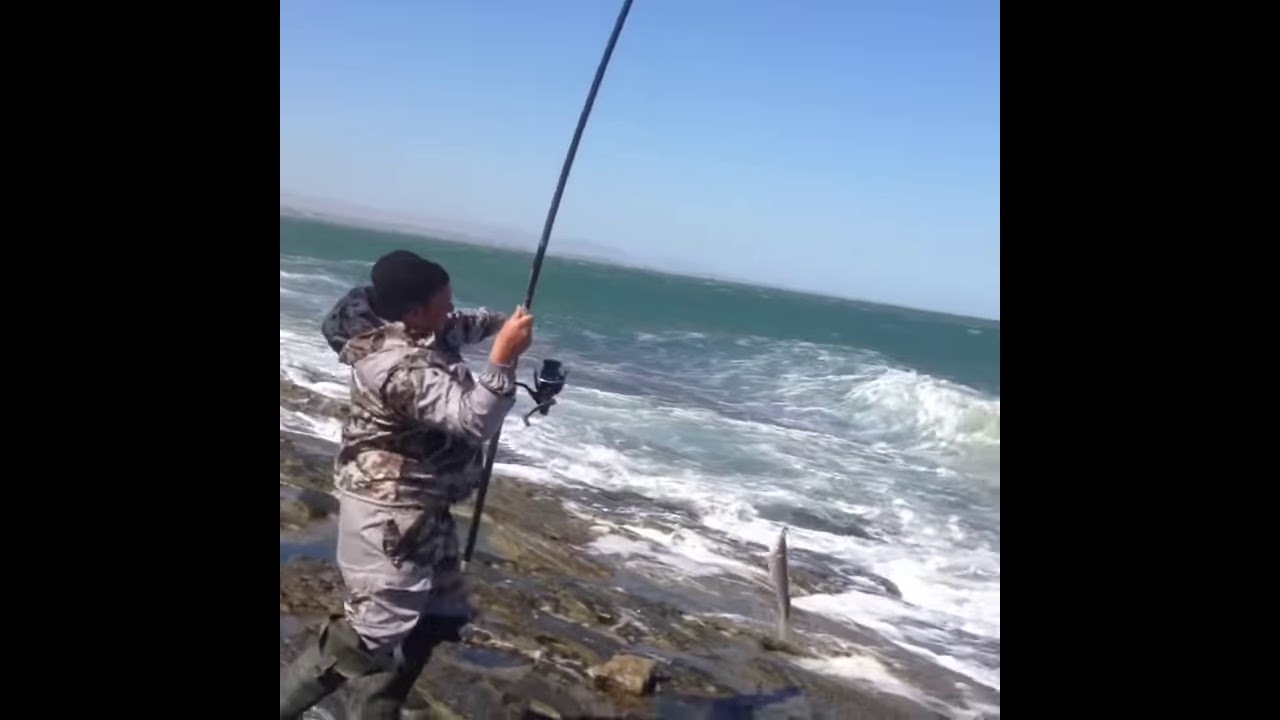 Рыбалка в анапе: советы рыболовов