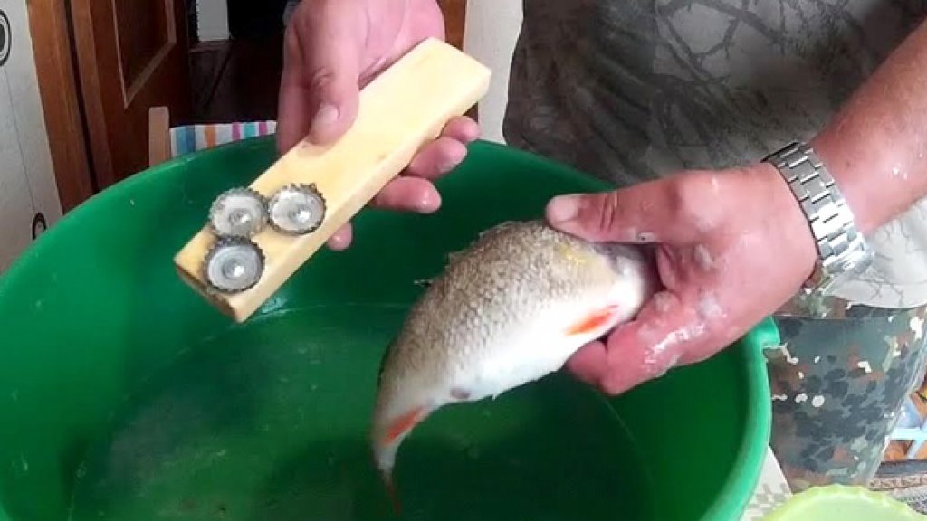 Чистка рыбы без грязи в домашних условиях
