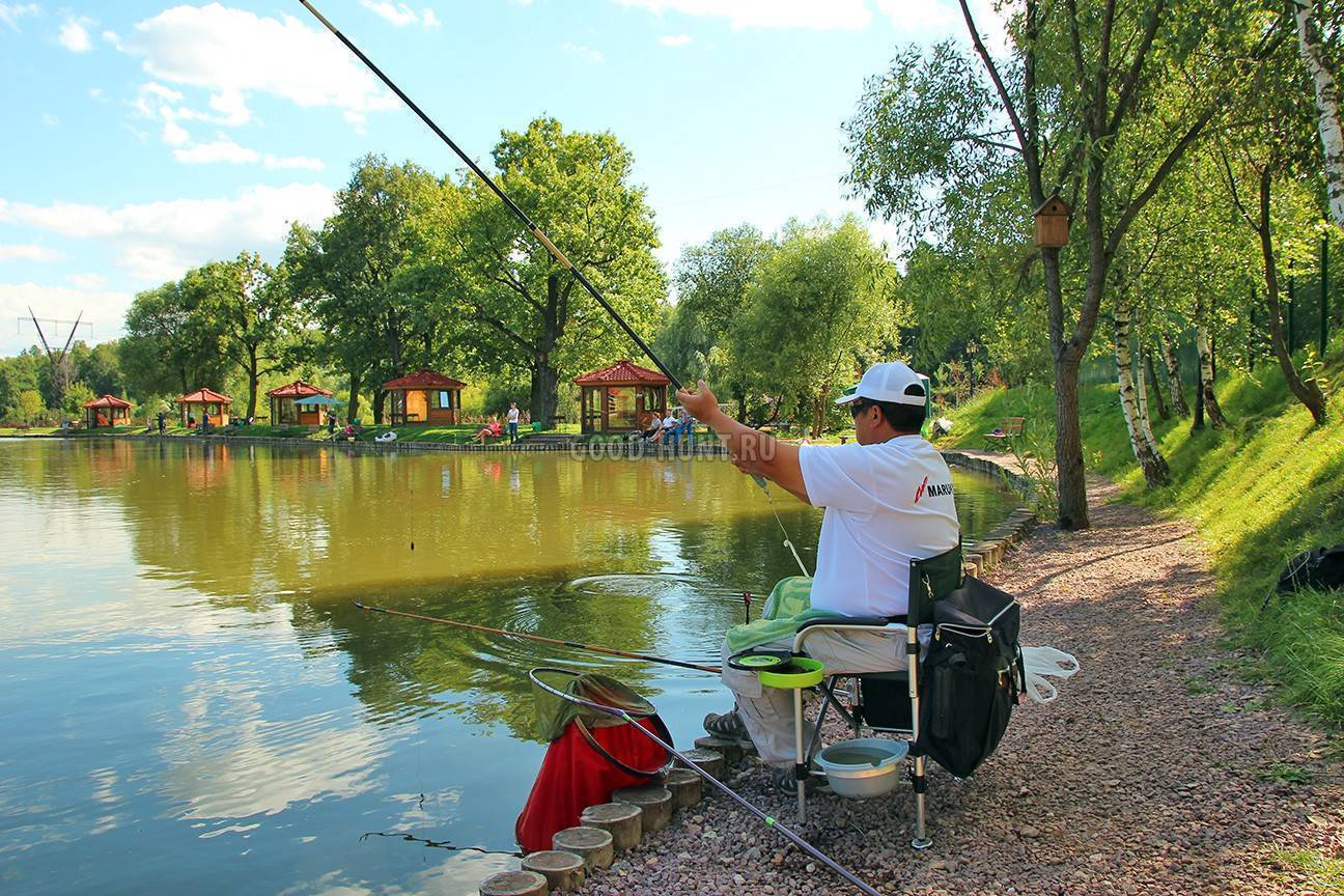 Лучшая рыбалка в белгороде (обзор 10 мест в белгороде и области)