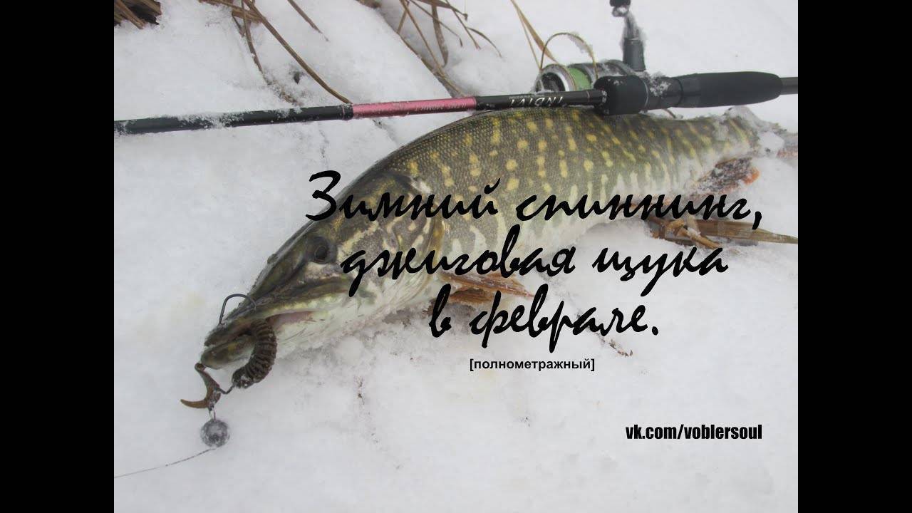 Ловля щуки на жерлицы зимой: как правильно ставить, секреты подледной рыбалки на реке с видео