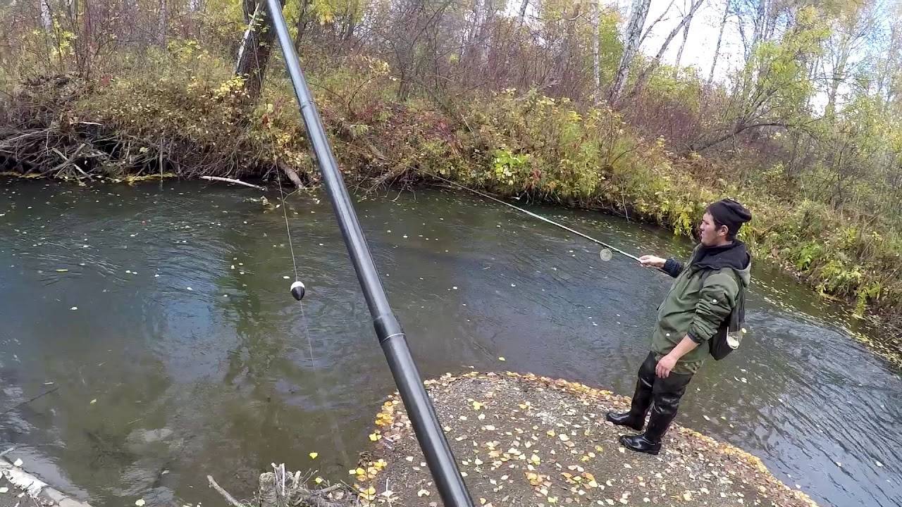 Как ловить щуку осенью на малой реке. ловля на спиннинг и на живца