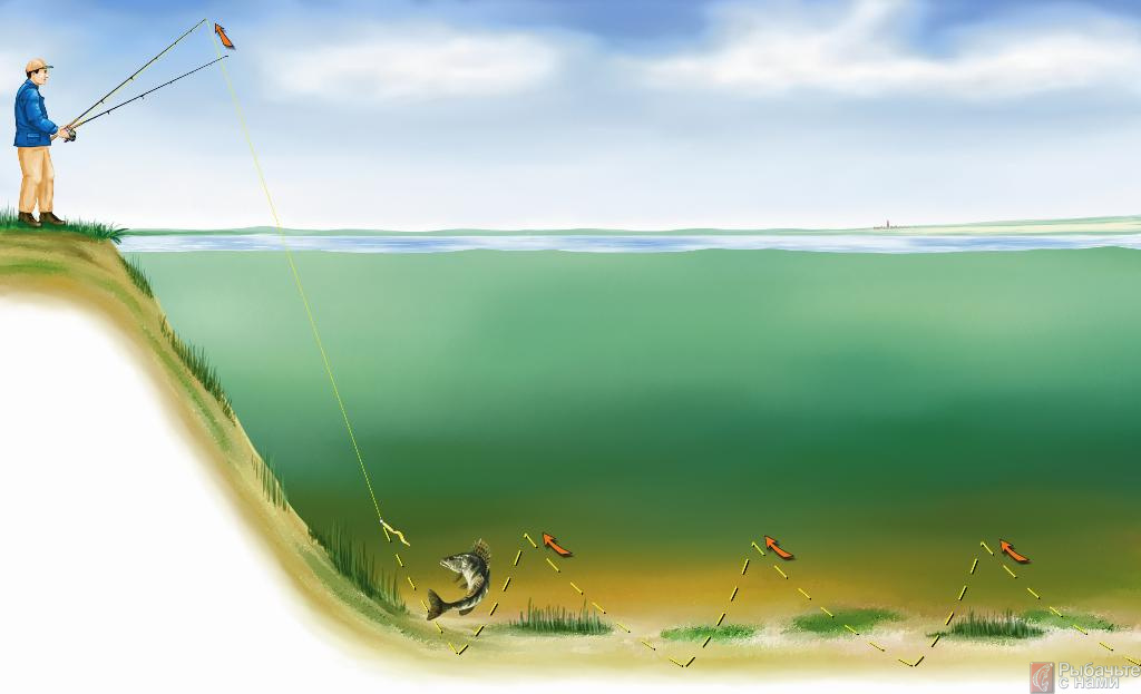 Рыбалка на спиннинг | спиннинг клаб - советы для начинающих рыбаков
спиннинг способы проводки различных приманок