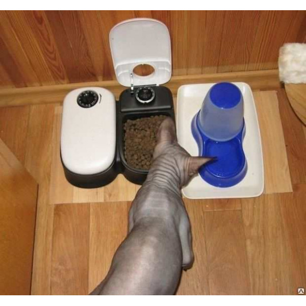 Автоматическая кормушка для кошек под управлением arduino своими руками