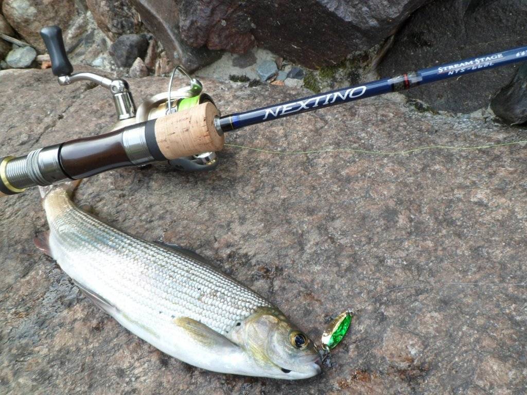 Все о рыбалке на спиннинг: от выбора бланка до проводки