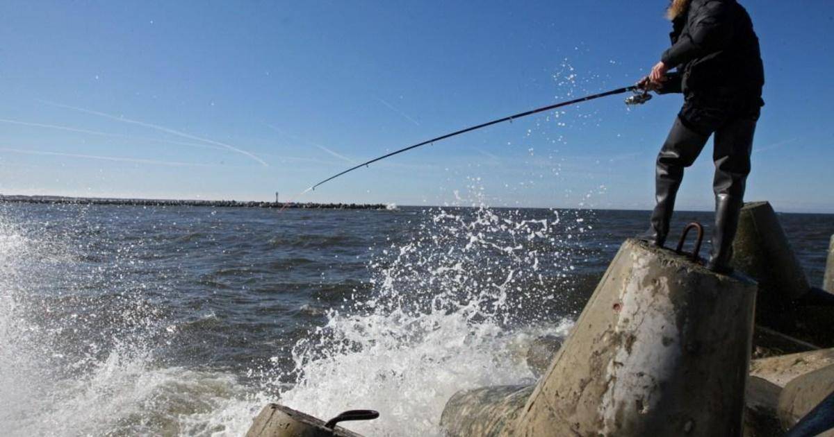 Водоёмы для рыбалки в калининградской области сегодня, прогноз клёва рыбы