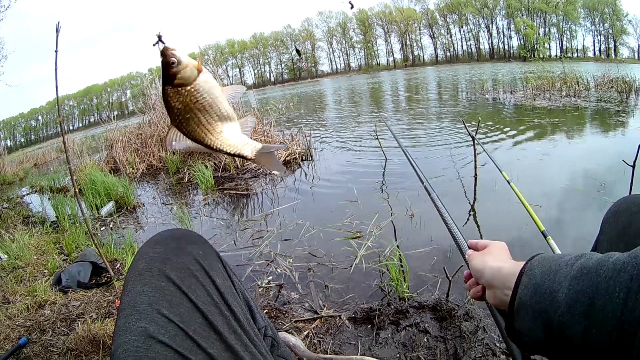 20 лучших видео о рыбалке на карася