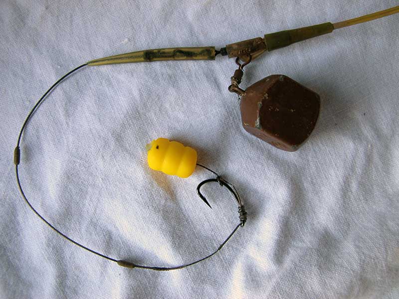 Ловля сазана на фидер: оснастка, прикормка и наживка, техника ловли