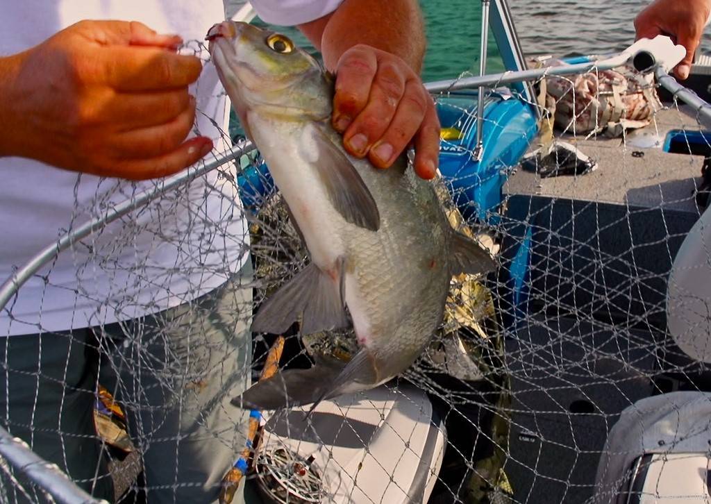 Рыболовные снасти: секреты ловли зимой и летом