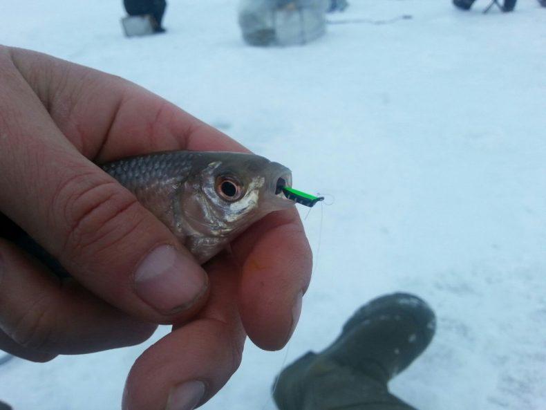 Зимняя рыбалка на безмотылку, выбор мормышки, техника ловли