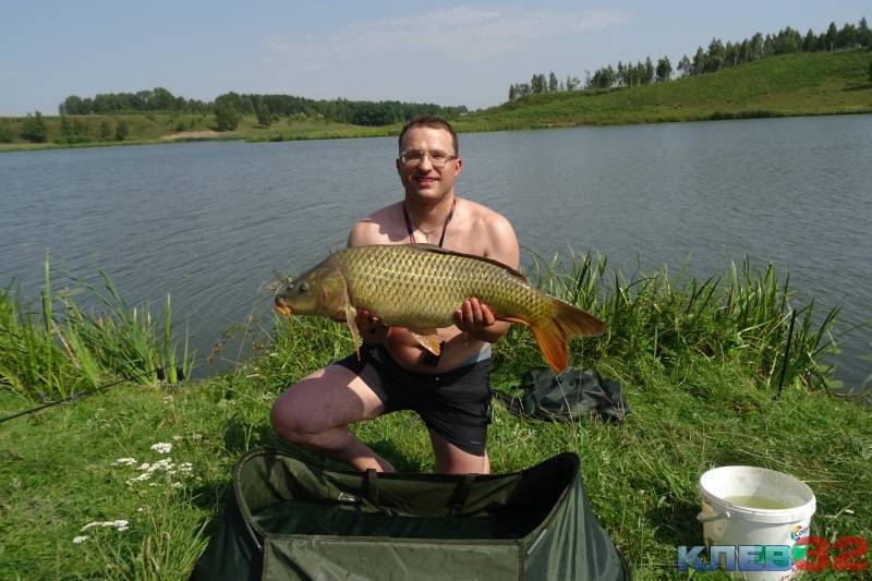 Пруды белгородской области: платные и бесплатные пруды, рыбалка и отзывы