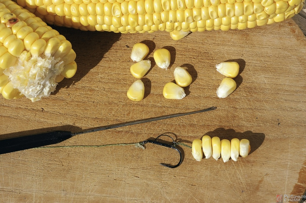 Как правильно насаживать кукурузу на крючок