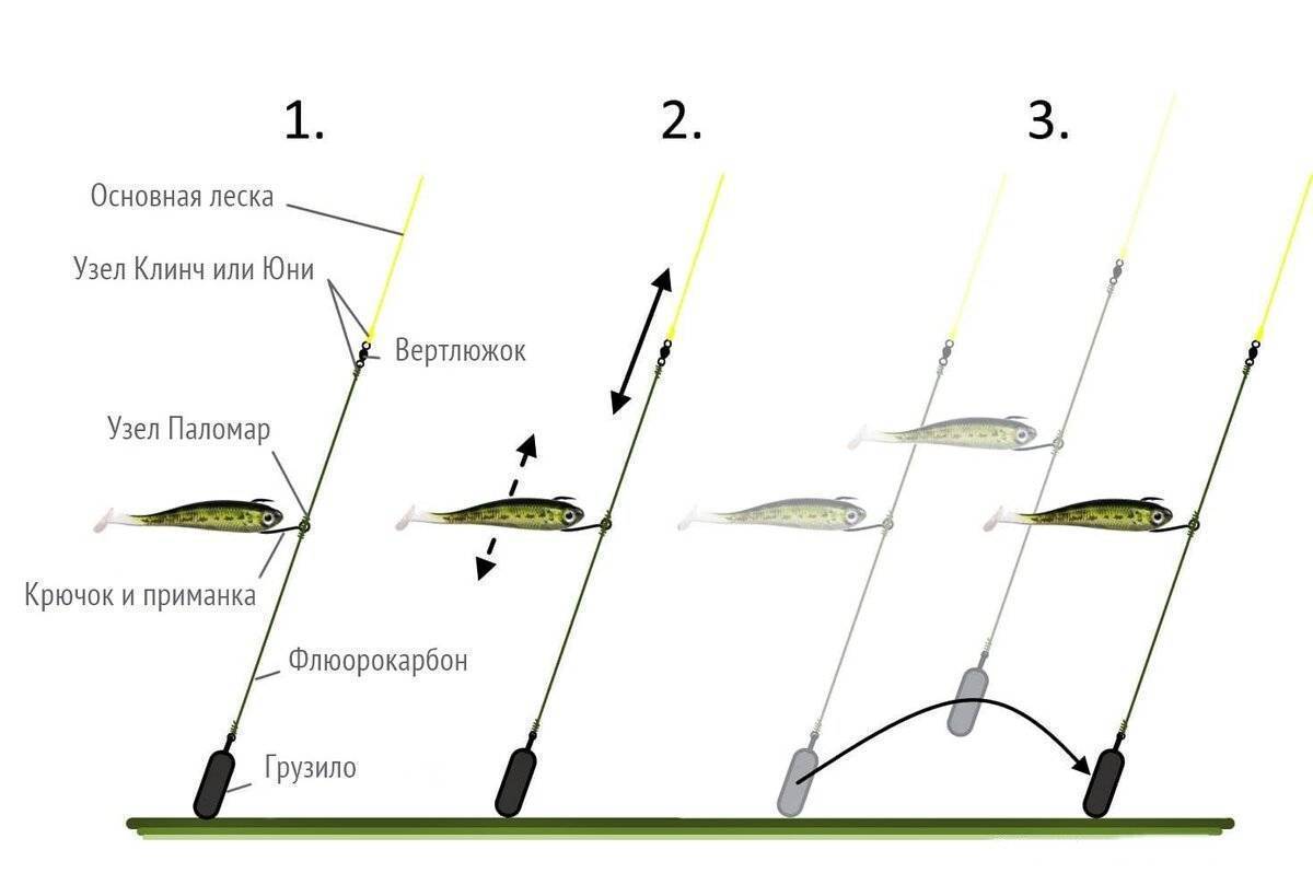Оснастка на судака — лучшие снасти для ловли летом, их виды