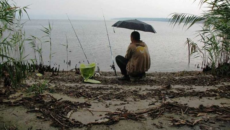 Клюет ли плотва в дождь. рекомендации рыбной ловли в дождь