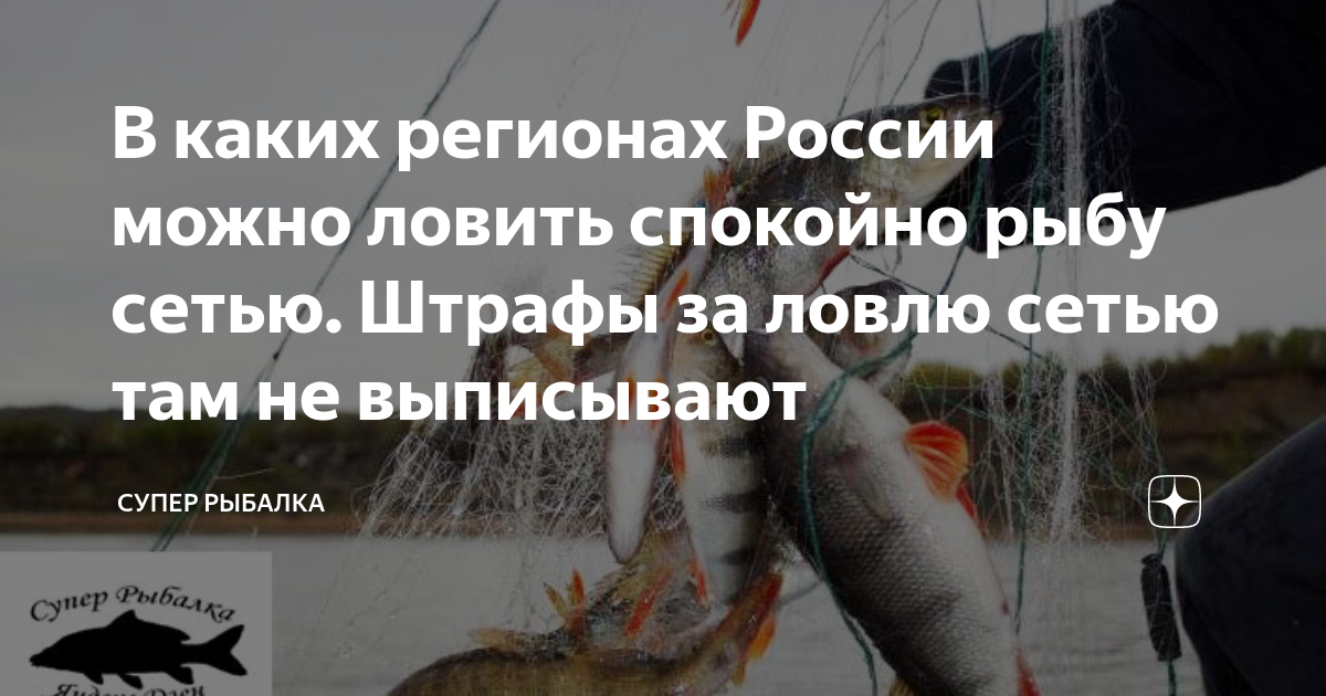 Запрет на рыбалку в 2021 г. по регионам, сроки и штрафы