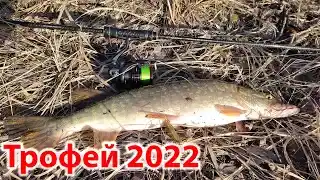Виброхвост на щуку: весной, летом, осенью, зимой, какой выбрать?