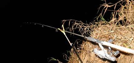 Ловля налима осенью: выбираем наживки, снасти и время для рыбалки