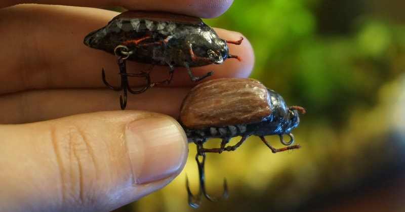 Как ловить голавля на майского жука?