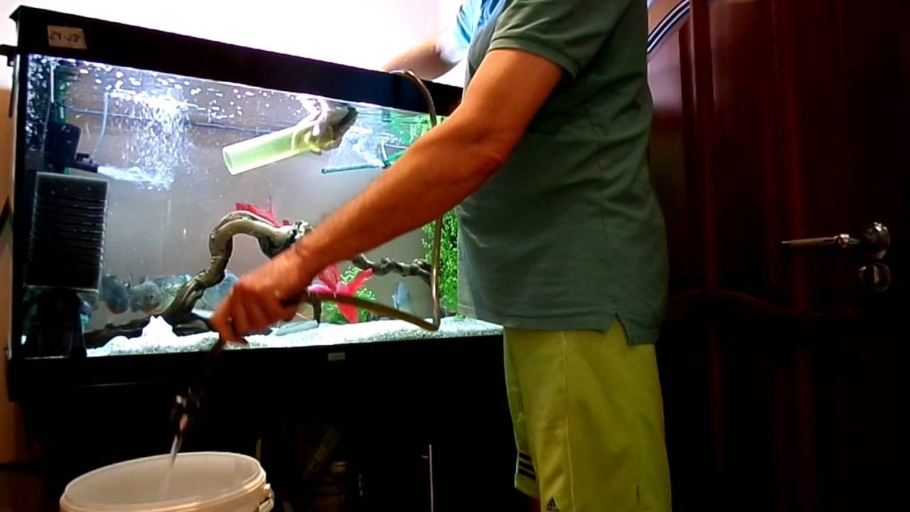 Как почистить аквариум с рыбками в домашних условиях, не сливая воду: фото, видео