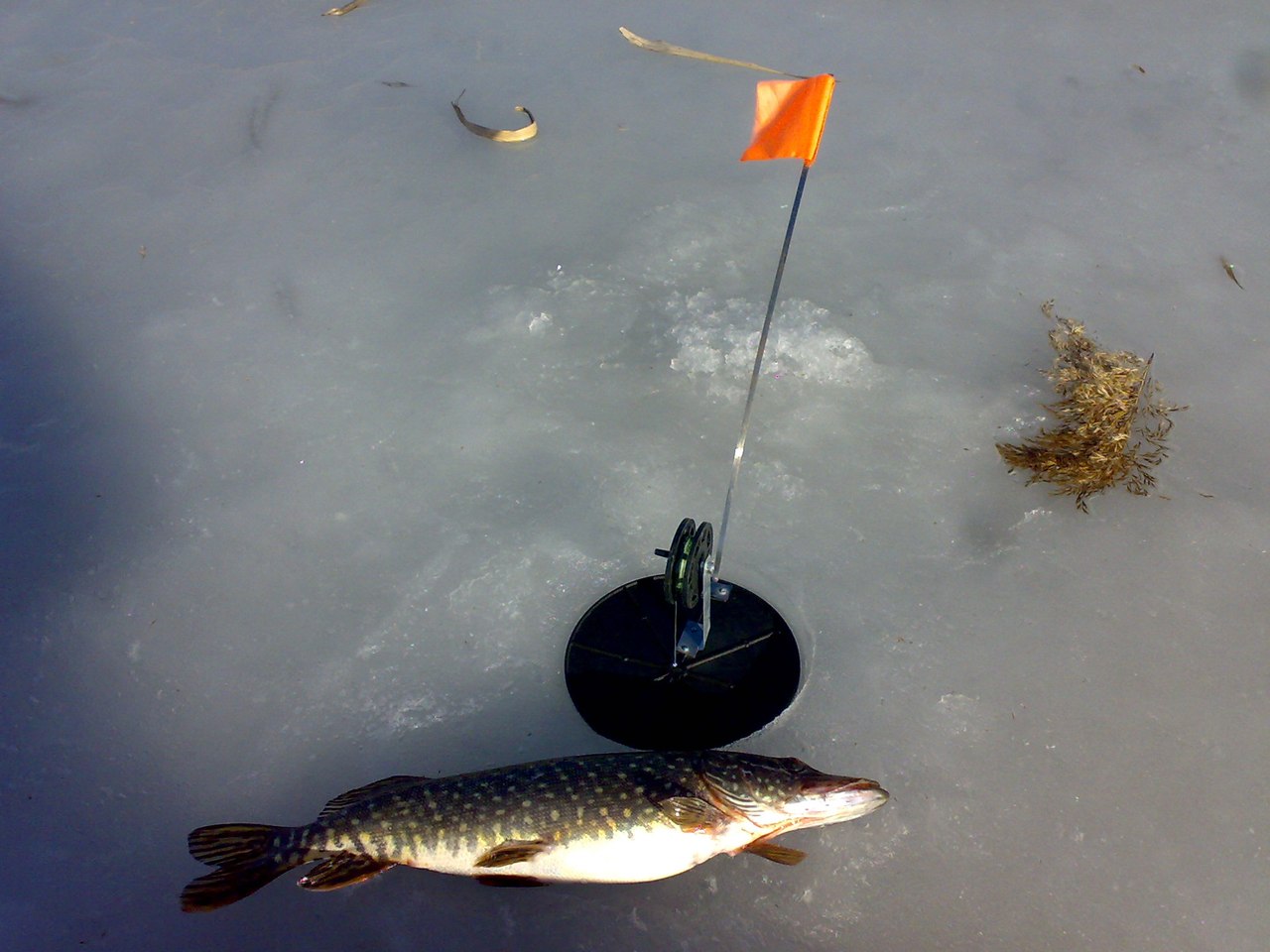 Рыбалка на жерлицы зимой-лучшие самодельные и покупные поставушки для зимней рыбалки